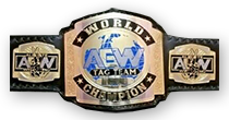 AEW Tag Team Champion